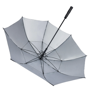 H - Paragua Black-Silver 2
